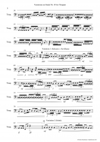 Variations on Etude No 45 A4 z 6